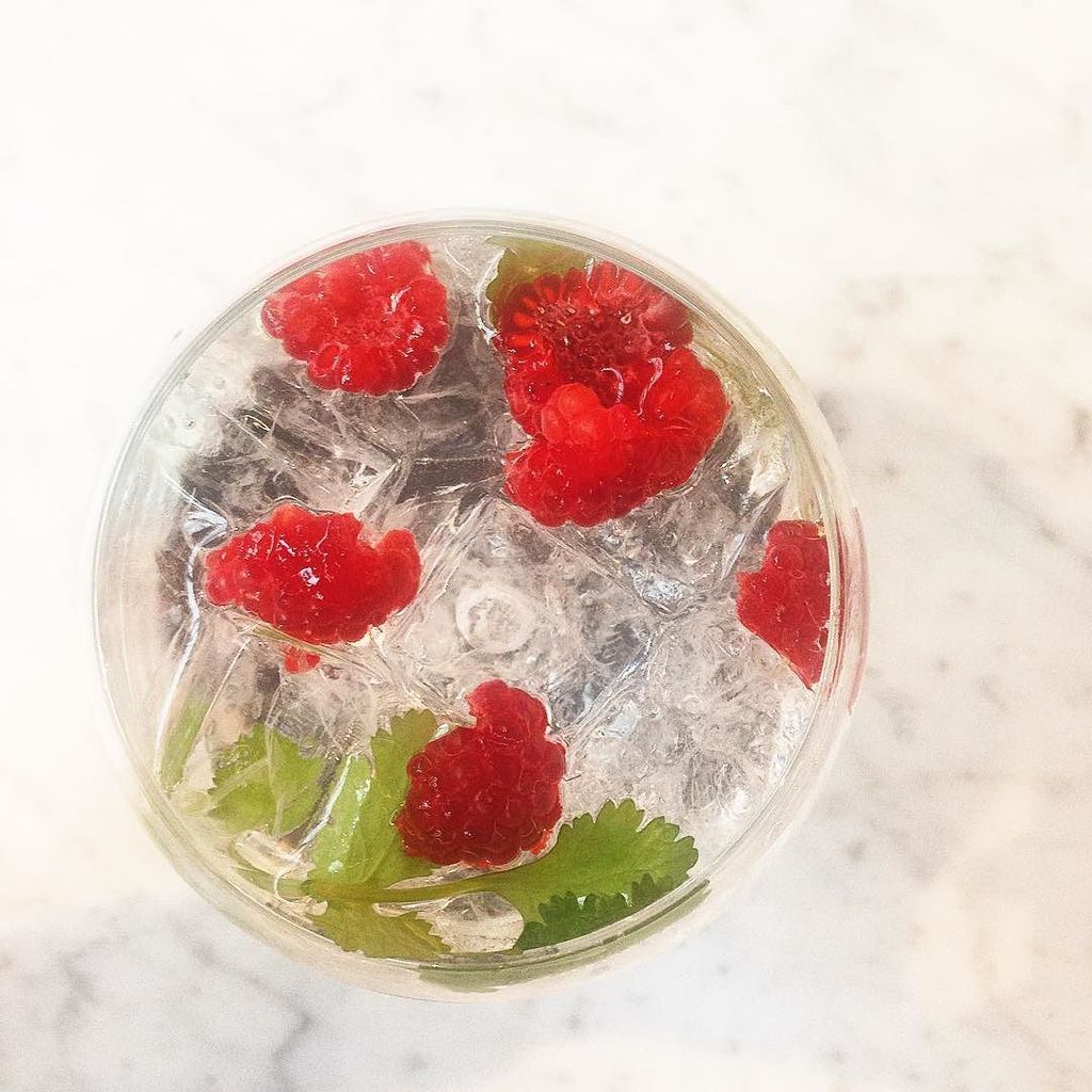 Sensaatio's tweet photo. It's Friday so time for early G&amp;Ts with @bitterballenbruid &amp; @feastwithsophie in Amsterdam… https://t.co/uaDTK9RpkN https://t.co/gG6tyeiX1m