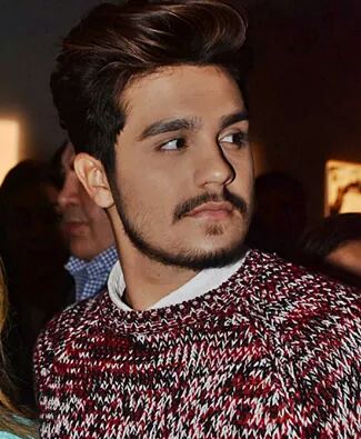 luanmeuanjomg's tweet photo. sobre essa tag: n to entendendo #LUANQUEJO https://t.co/5Ex4BFkGeO