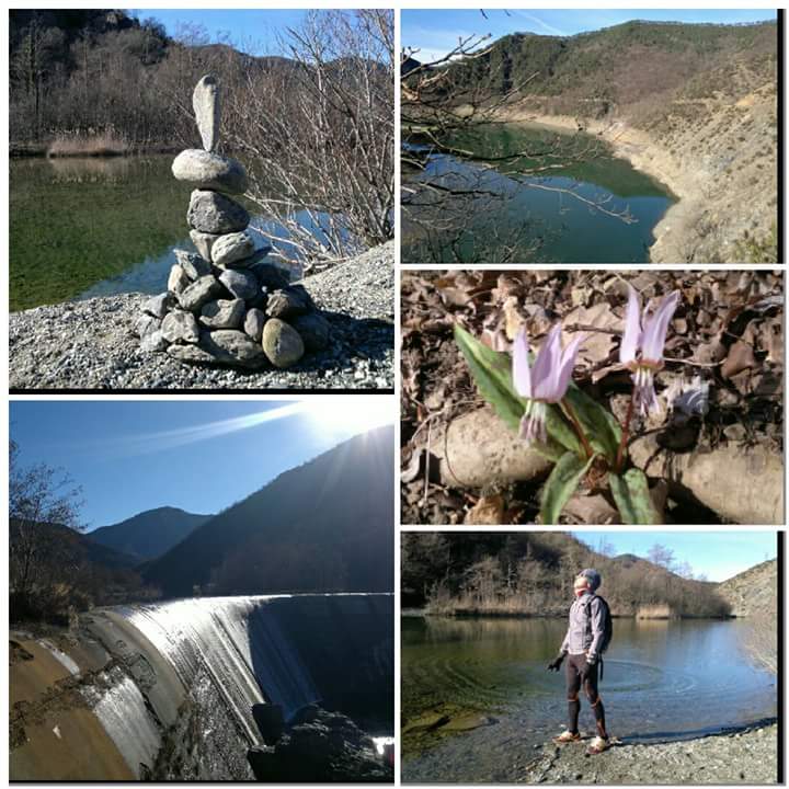safetravelItaly's tweet photo. #conLaScusa di camminare ci godiamo lo splendore del #Parco di #Marcarolo #MonteTobbio @DeboraBergaglio @ILTrekking https://t.co/DjE27vmsxQ
