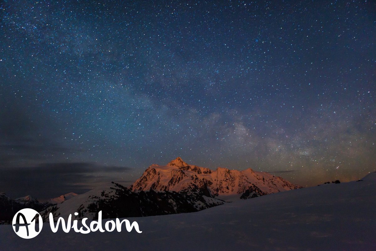 A1wisdom_club tweet media