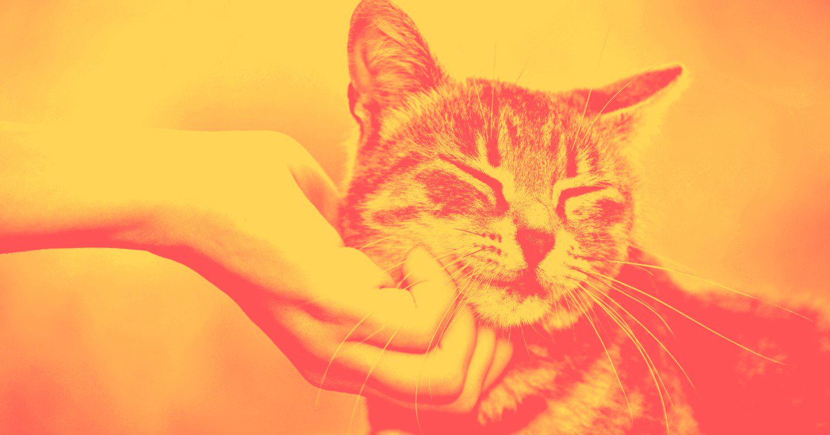 Please pay no mind to the anti-cat propaganda you read on the internet this week: sciof.us/1T2yyyJ