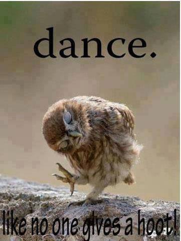 CWF_FCF's tweet image. It's Friday everybody! Hoot hoot!