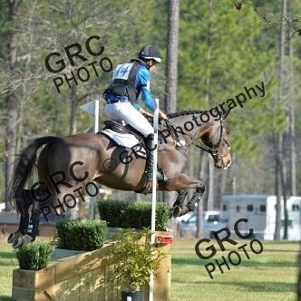 Brad_Champagne's tweet photo. Super pleased with how Wally went xc! The new @StruckApparel breeches feel incredible! #getsome #GetStruck https://t.co/eAhQA3JyLB
