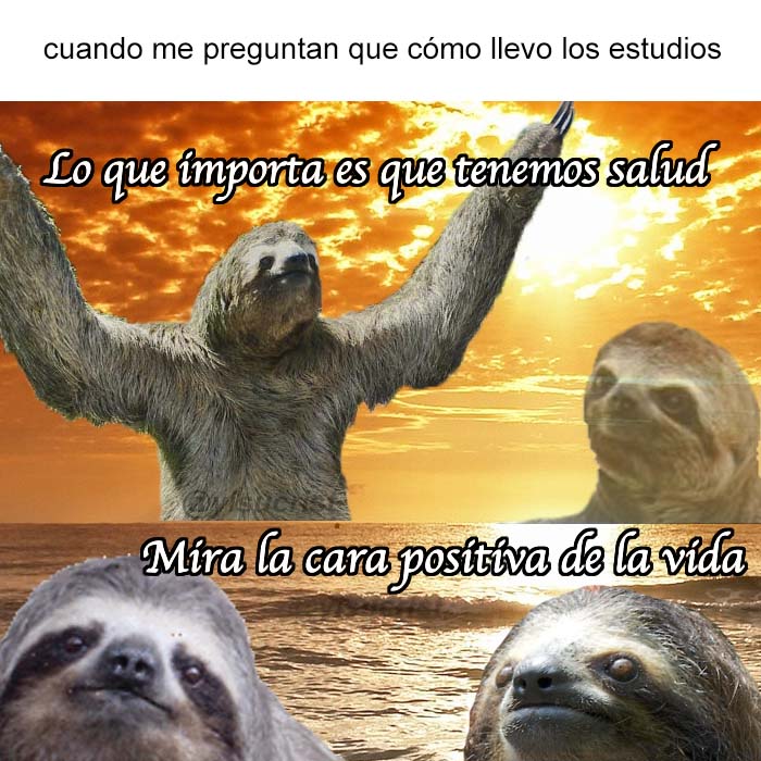 yisucrist's tweet photo. resumen d mi puta bida https://t.co/LwT1vf2qLm