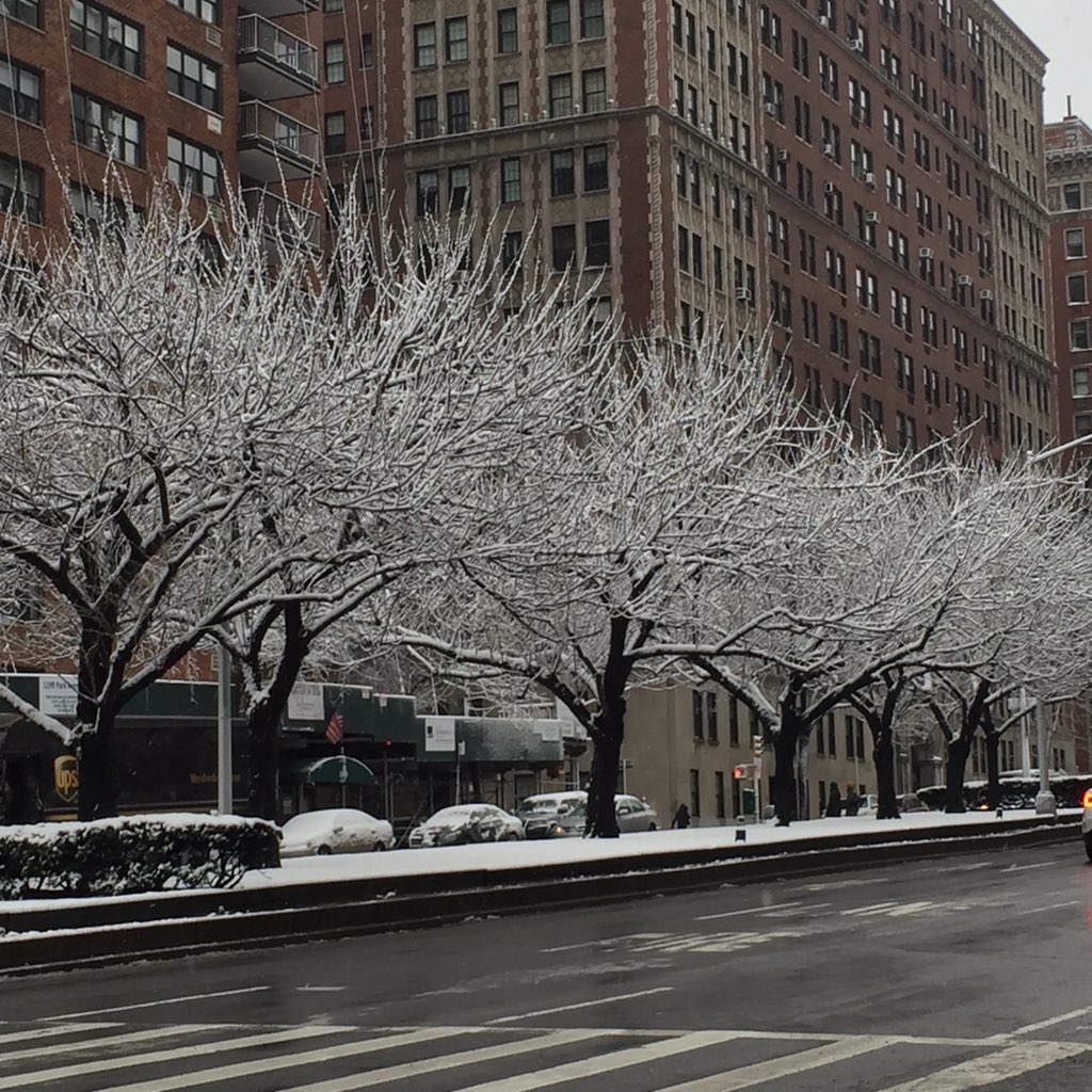 MayxLau's tweet photo. #Pretty #Flurries #ParkAve #NYC https://t.co/mIcPBiXYuz