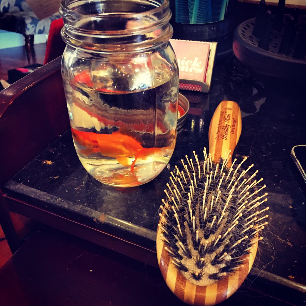 YouAgainSeries's tweet photo. #DuckTheFish in #hairandmkeup for today's episode two shoot! #comedy #webseries #indiefilmmaking #filmlife https://t.co/q7dCkKF8Au