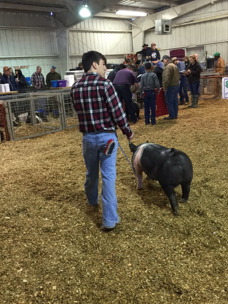 Marie_Laveau's tweet photo. @Omg_Its_John04 placed 5th in show with his pig, ham hock! 
#FFA #LivingstonParishShowTeam  #FutureFarmersOfAmerica https://t.co/81zrYtbT1m