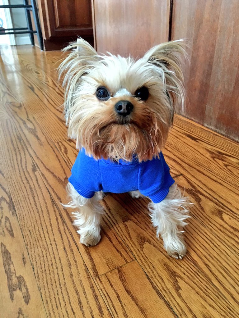 ImDashTV's tweet photo. I love @JackTheCEO and @JerkyXP #jacksteam https://t.co/nYGWhqMCZF