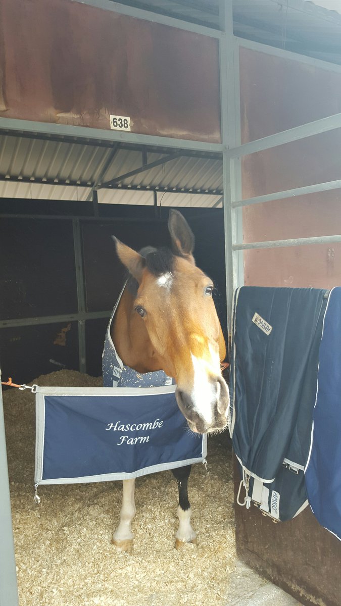 RoeSpencer's tweet photo. Arrived at @Sunshinecadiz after lunch and all the horses are settled in to their new home for the next 8 weeks https://t.co/2y49MWeP9K