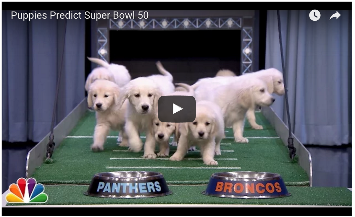 lastlaughgroup's tweet photo. This may be the most scientific predictor of #SB50 yet!
https://t.co/8mySXft9H9 https://t.co/rAnWSIvjDV