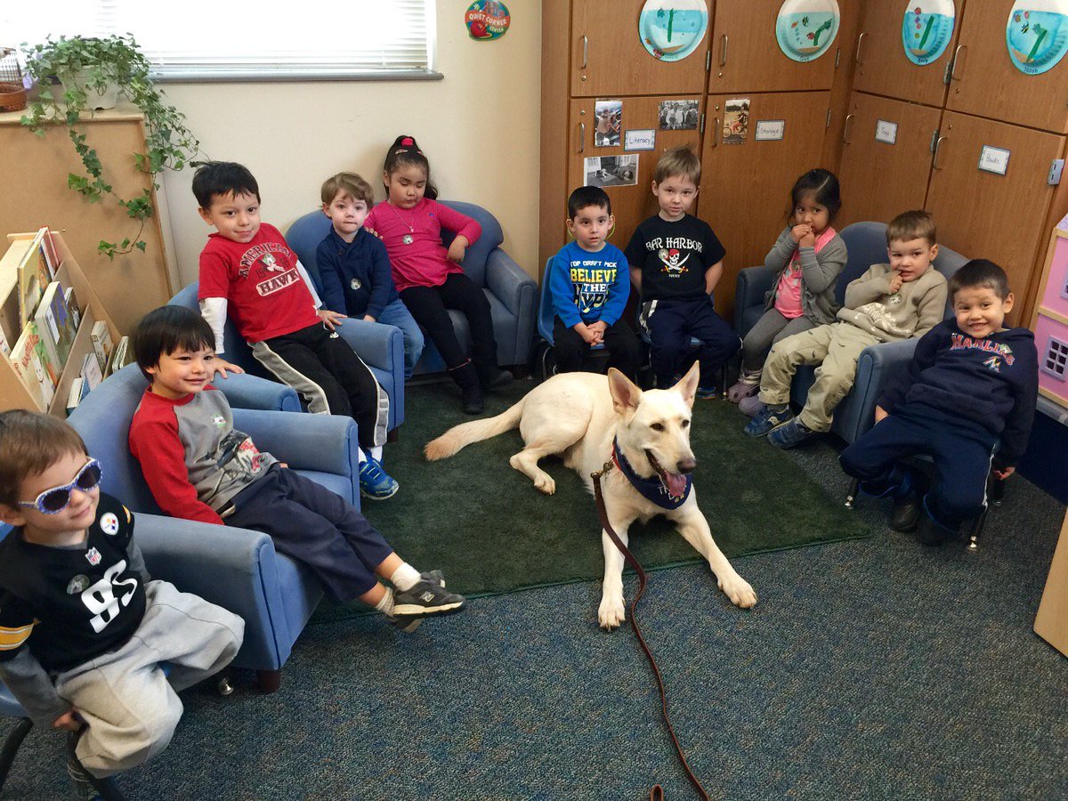 Ms Cindy’s Owl Class tweet media