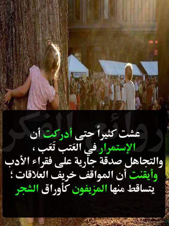 sanaa Hafiz tweet media