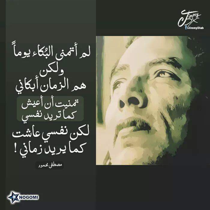 sanaa Hafiz tweet media