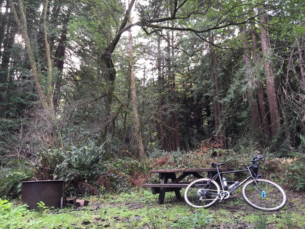 The only tweeting that matters happens in a forest.