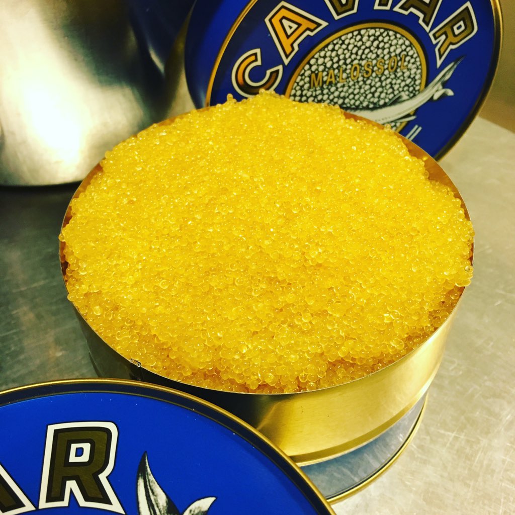 Eugenio Boer (@eugenio_boer) on Twitter photo Home made Pike Caviar ready!!! <a href="/lucaabbadir/">Luca Abbadir</a> <a href="/ManuelaMariaFix/">Manuela M. Fissore</a> <a href="/EnricoVignoli/">Enrico Vignoli</a> <a href="/yojitokuyoshi/">Yoji Tokuyoshi</a> <a href="/racostaesilva/">Rafa Costa e Silva</a> Home made Pike Caviar ready!!! <a href="/lucaabbadir/">Luca Abbadir</a> <a href="/ManuelaMariaFix/">Manuela M. Fissore</a> <a href="/EnricoVignoli/">Enrico Vignoli</a> <a href="/yojitokuyoshi/">Yoji Tokuyoshi</a> <a href="/racostaesilva/">Rafa Costa e Silva</a>