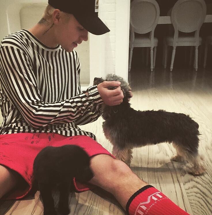 ibieberauhlls's tweet photo. JUSTIN AND PUPPIES https://t.co/b2PSkXldli
