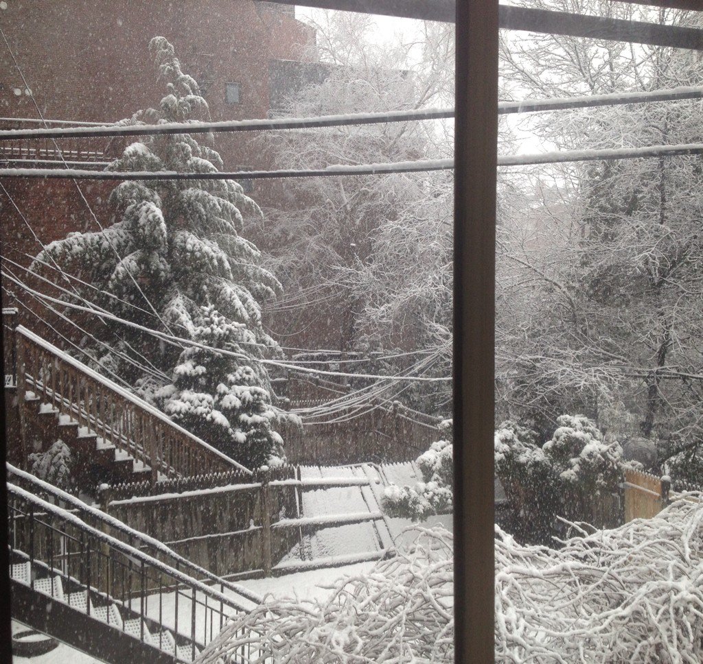 AndresPenella's tweet photo. Ahora sí parece invierno.
#BostonCold  III
. https://t.co/ARVbrXzmpp