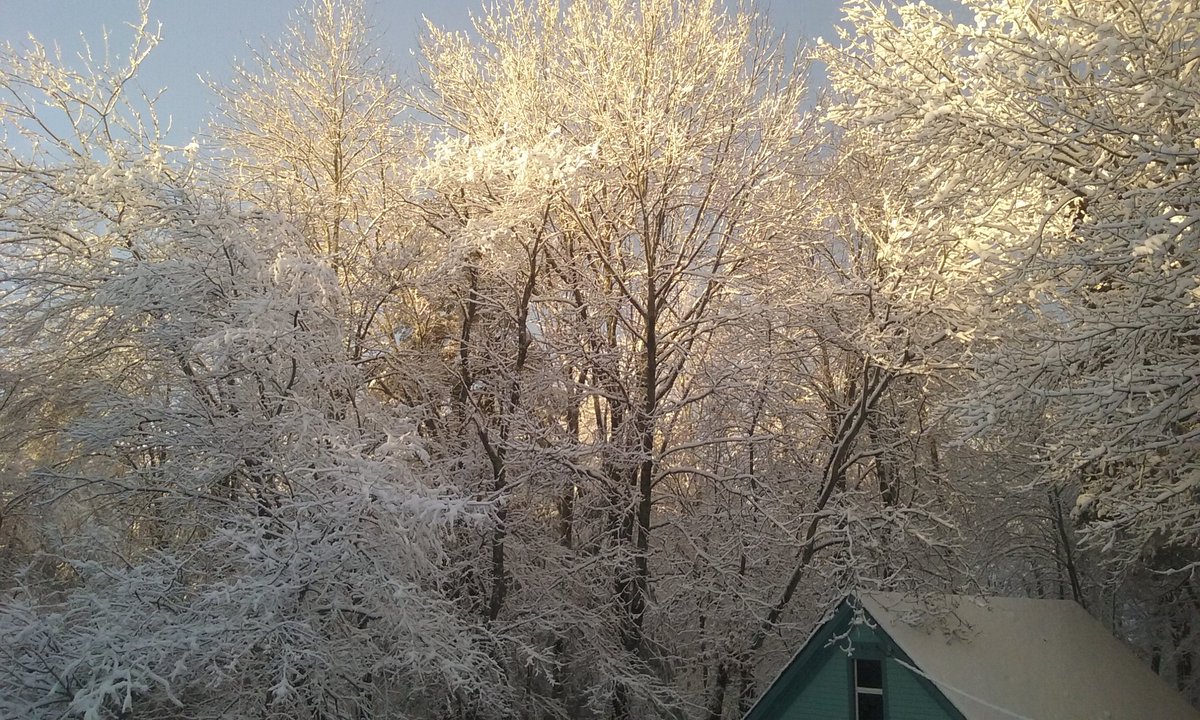 eric67usmc's tweet photo. I think it's done snowing for today. https://t.co/HtV6fNtk8z