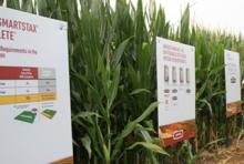 DoaneAg's tweet photo. Monsanto to shift focus to #technology after failed #Syngenta merger - https://t.co/mLyk1DbAQG https://t.co/n28izbpuJk