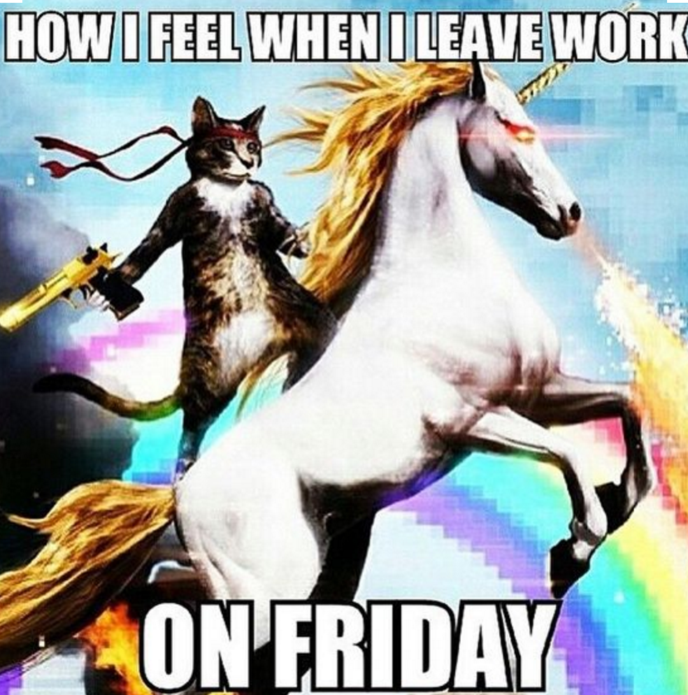 VitaminCcomm's tweet photo. F R I D A Y ! #TGIF #Miami #MiamiNightlife https://t.co/ZFifi9Tx6J