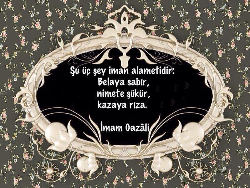 zhraaaa45's tweet photo. https://t.co/mlZ5swYvFz