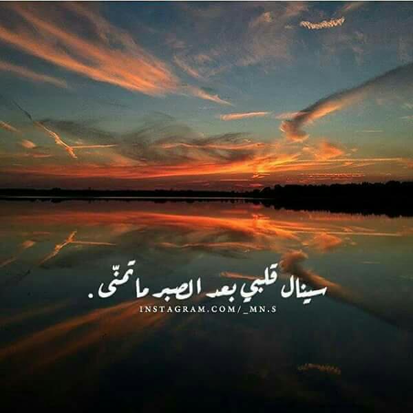Rafi (@rafi63609955) on Twitter photo 