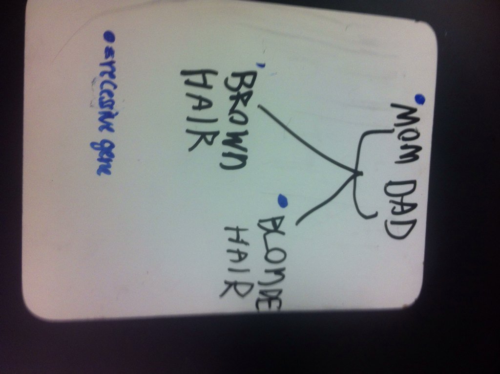 hankd_lhs's tweet photo. #lhsgenetics #ballhr4 @msball_lhs @msstern_lhs 4-7 https://t.co/kZ3eM3Sldz