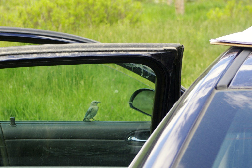 Brad Bauer tweet media