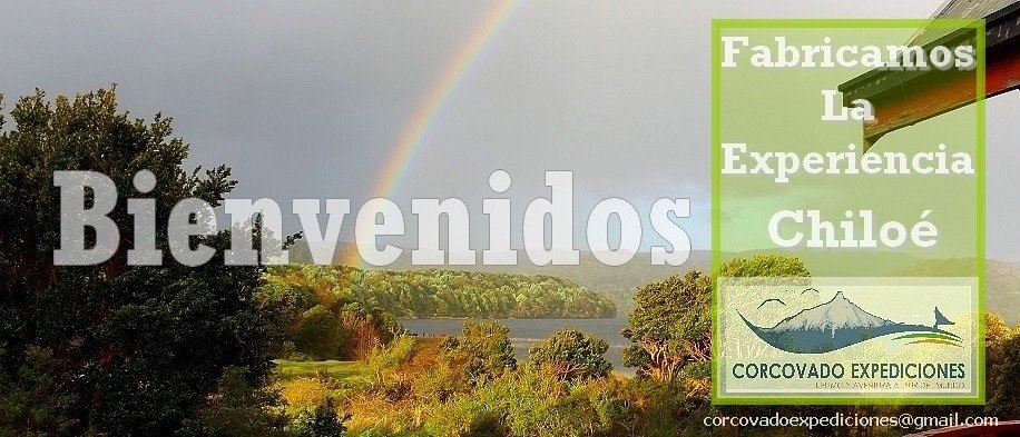 corexpediciones's tweet image. Con nuestro nuevo Grupo disfrutando de las maravillas del Sur de Chile y Experiencia Chiloé
@Sernatur @omarhernande