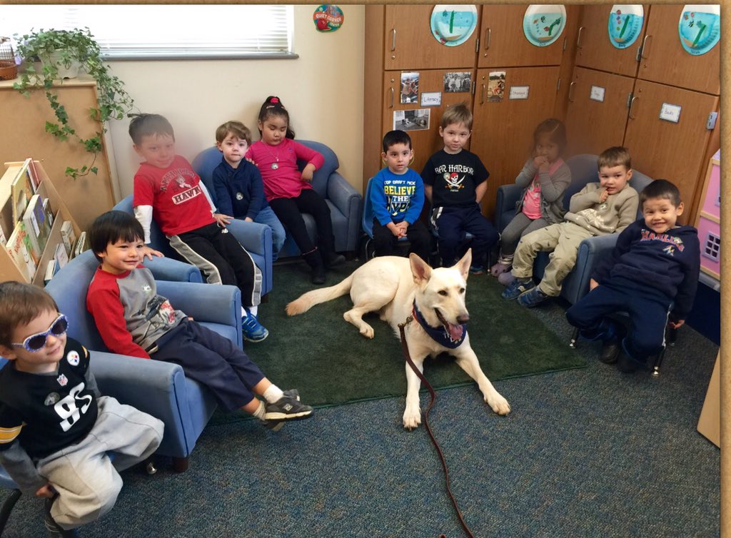 Ms Cindy’s Owl Class tweet media