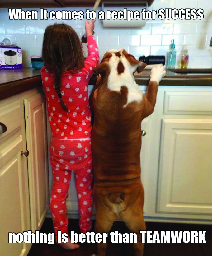 AustinVisuals's tweet photo. #AVdoesthat #bulldog #buddies #callourteam
https://t.co/InTRkzMy60 https://t.co/4If4BALC9t
