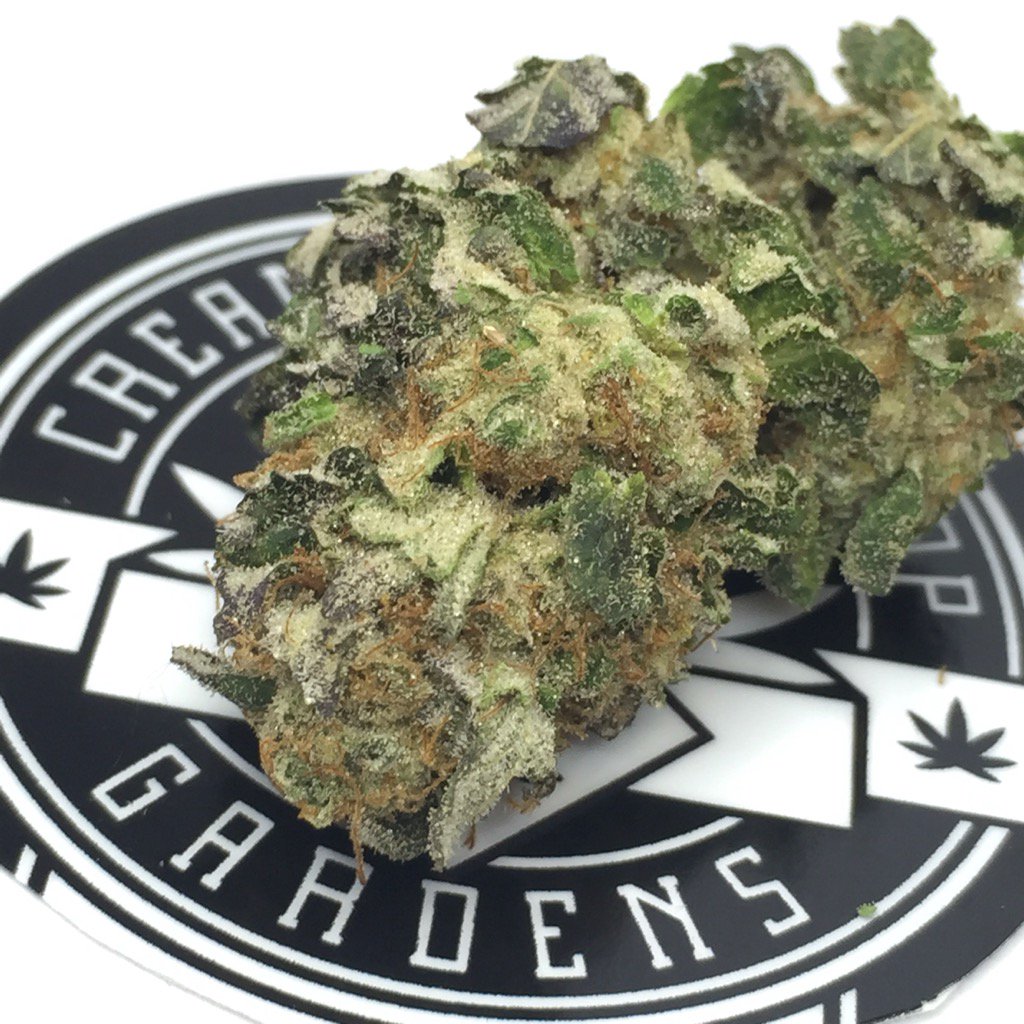 mudbaymeds's tweet photo. Platinum #GSC by #CreamoftheCrop https://t.co/UzFumqK9QF