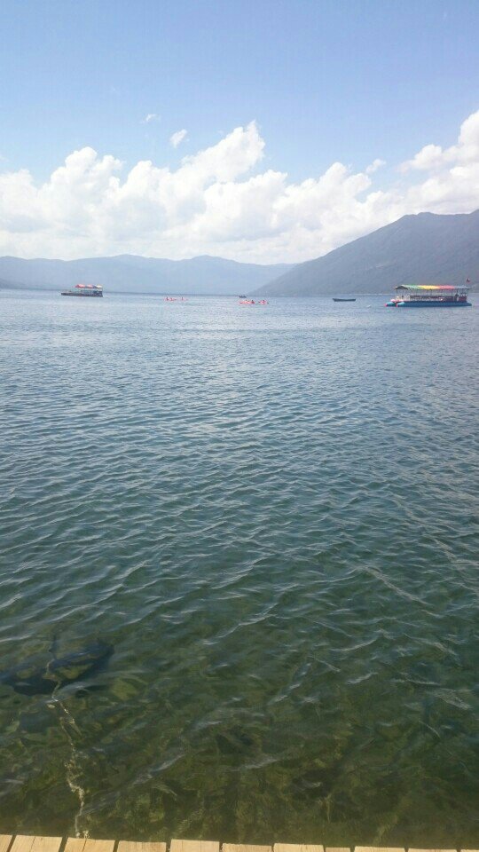 Araya_Marco's tweet photo. Muy lindo este lugar (@ Lago Caburgua in Caburgua, Región De La Araucanía) https://t.co/Ve5HYGQEPr https://t.co/rVioX6yZWn