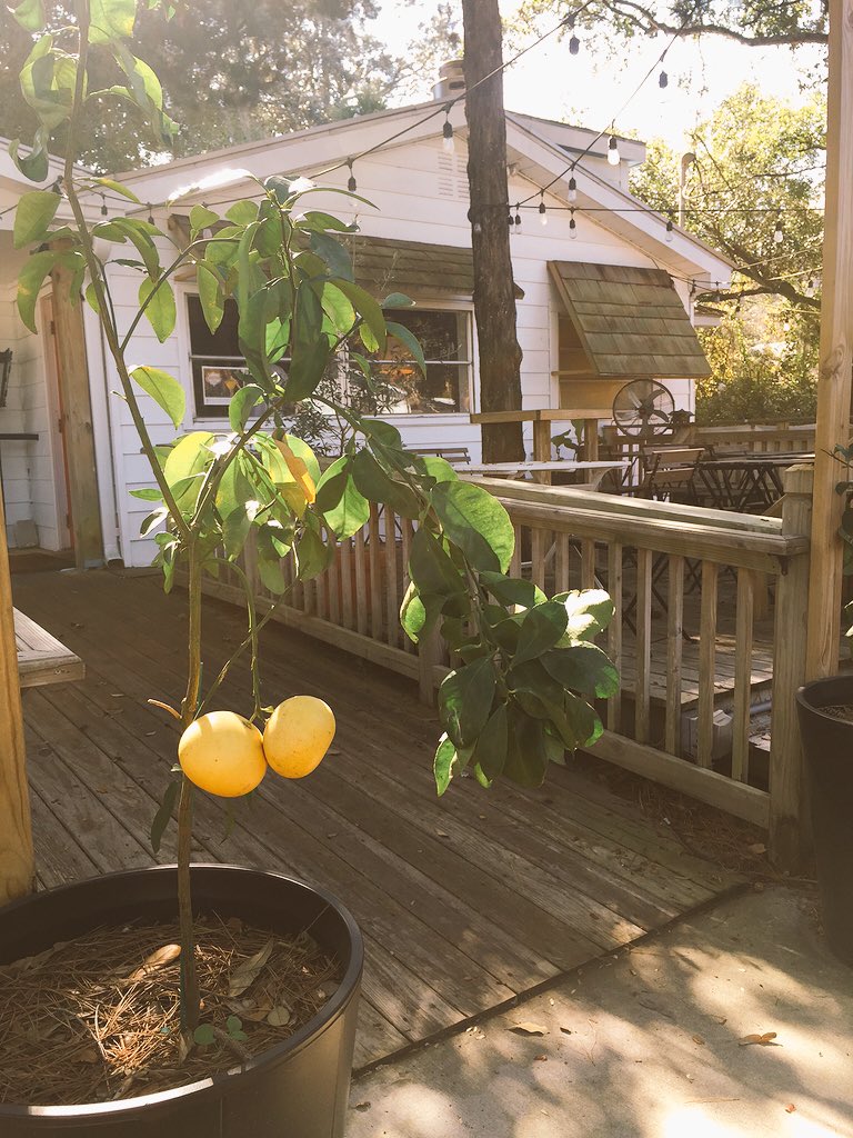 Welcome #critzrunners! We've got fresh squeezed cocktails for your post-run fun! <a href="/VisitTybee/">Visit Tybee</a> <a href="/DiscoverTybee/">Discover Tybee</a>