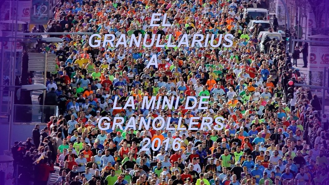 Ampa GRANULLARIUS tweet media