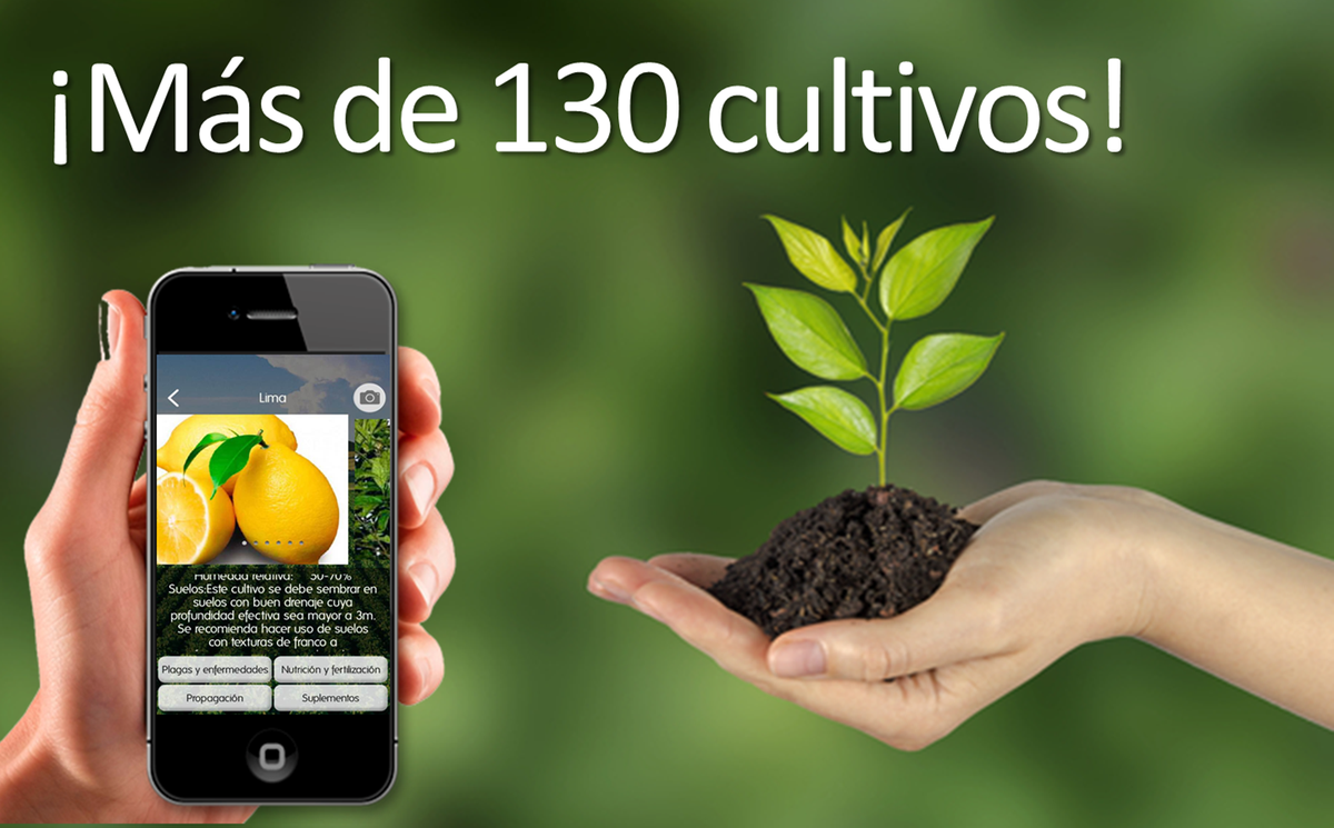 agromapp's tweet photo. https://t.co/s7EVcqVeGt https://t.co/TBzQIM2oBD