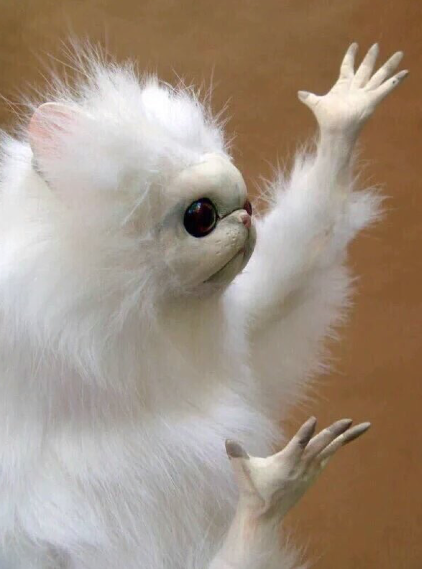 when a feminist opens her mouth