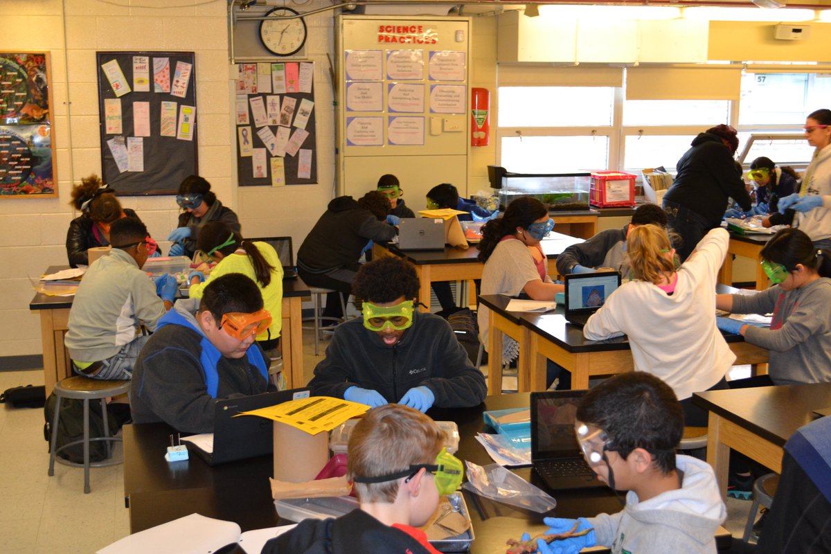 7th grade students learned a lot about the organ systems while dissecting!
#Funinscience  #conradyjaguars