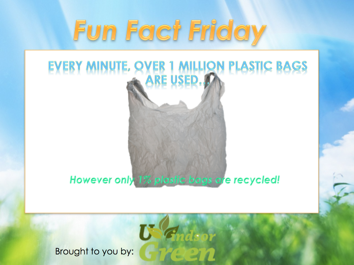 uwingreen's tweet photo. It's Friday! You know what that means... #FunFactFriday https://t.co/EykdiO6cT3