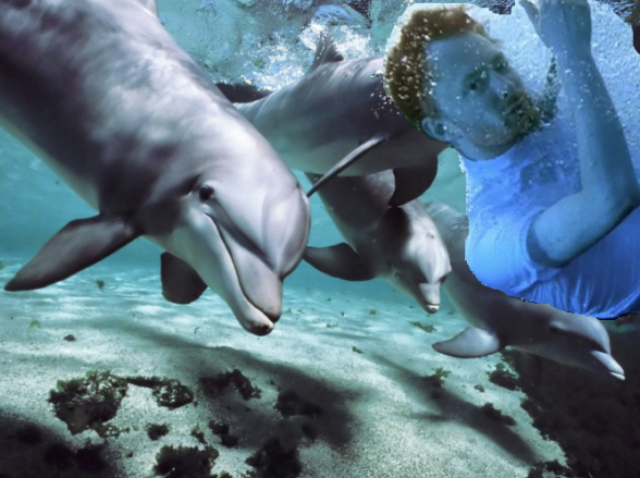 RabblMusic's tweet image. Apparently #dolphins love #Radiohead, especially #lotusflower &amp;gt;&amp;gt; via @pitchfork consequenceofsound.net/2015/10/dolphi…