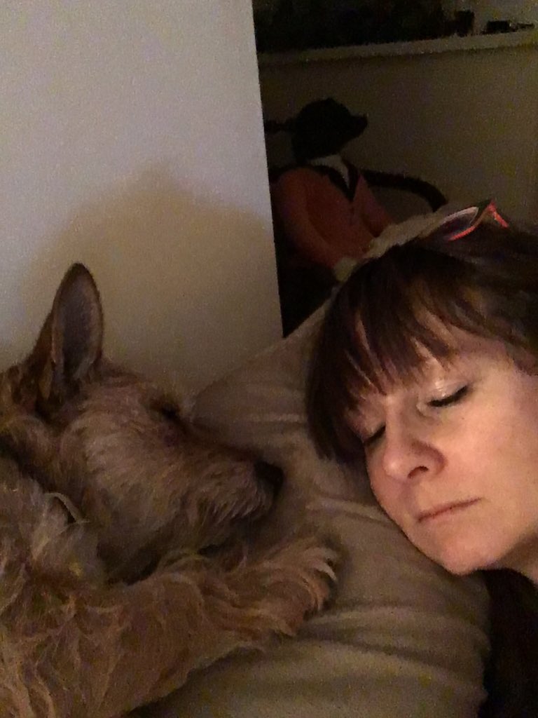 lucie_mountain's tweet photo. It's been a busy week #godoing! Me and my Best bud are taking a quick #dognap #brainrest https://t.co/FNSRnlbXGn
