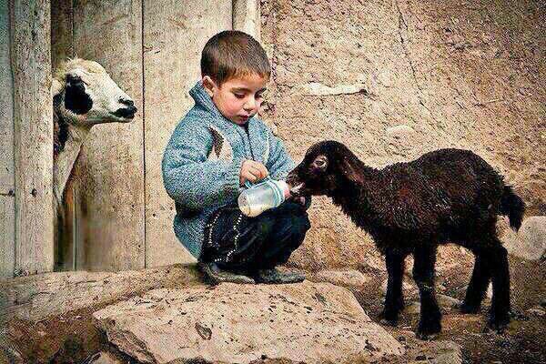 shauri3's tweet image. #اثراااااء_الضيافة
الراحمون يرحمهم الله ..
صورة جميلة من صور الرحمة طفل صغير يقاسم حليبه ❤️ 
5Xp