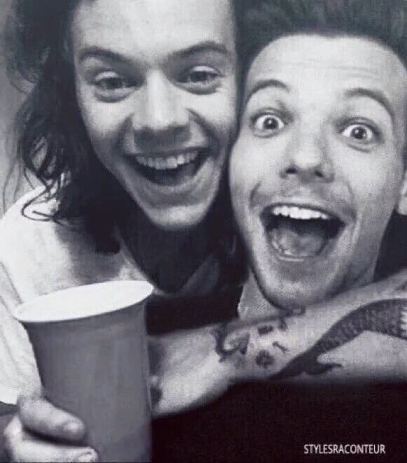 all1dcrewreal's tweet photo. My boys 😍😍😍😍 larry sex tape 😂 🍌🍺 https://t.co/8h6LIkYmaH