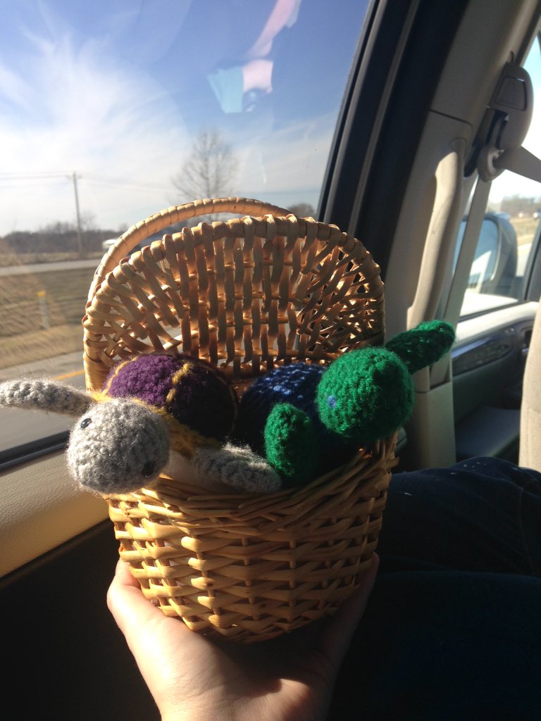 ScrappyCturtle's tweet image. Region C Turtles assemble!!! #RegionCTurtle #UNTSWE  #SWEC2016