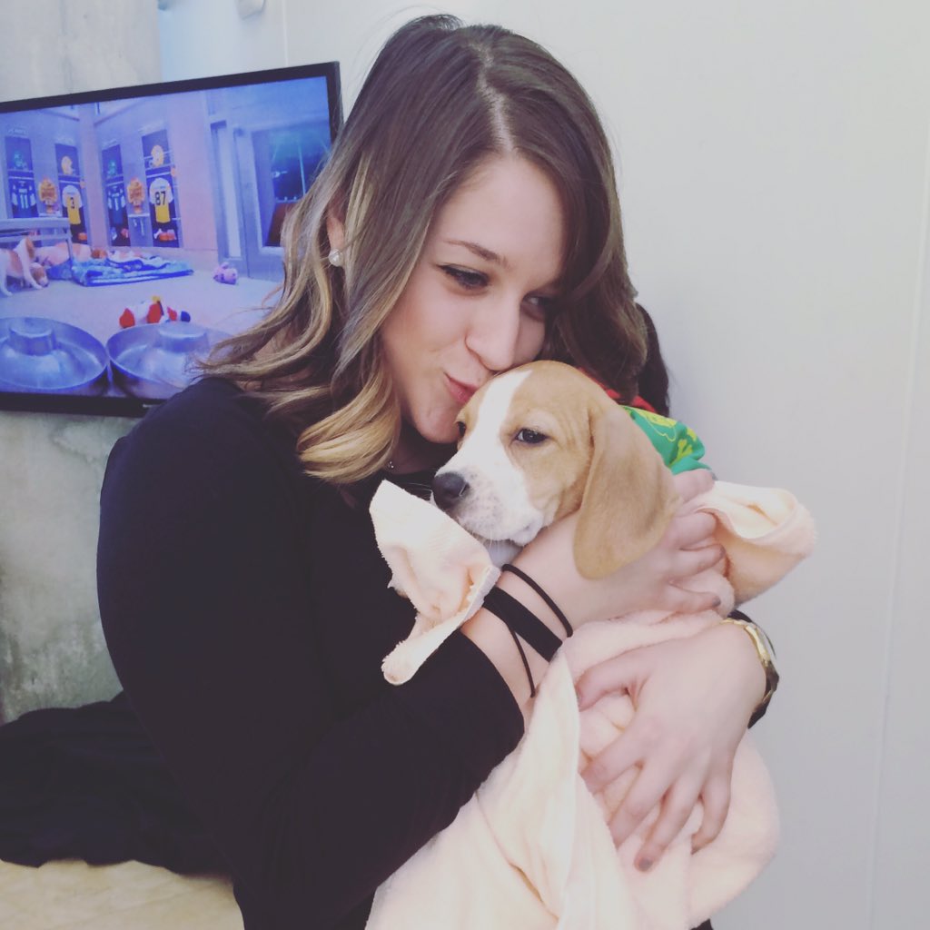 sampiccirillo's tweet photo. Love this pup and this company #puppybowl2016 @DiscoveryComm https://t.co/zNIwfL4XBK