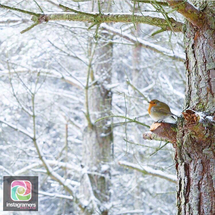 Igers Scotland tweet media