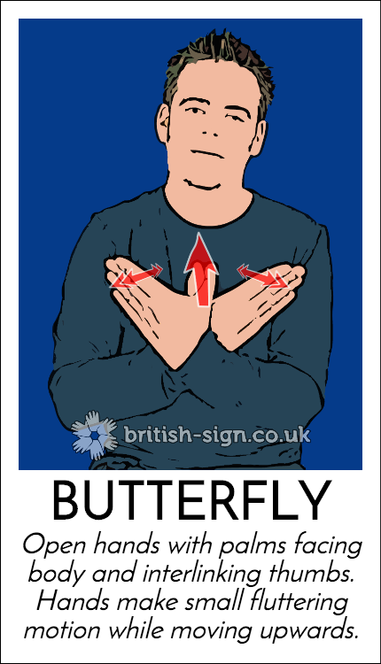 BritishSignBSL's tweet photo. Today's #BritishSignLanguage sign is: BUTTERFLY - https://t.co/Nfh3kkYJfI https://t.co/GtZRKkUSJx
