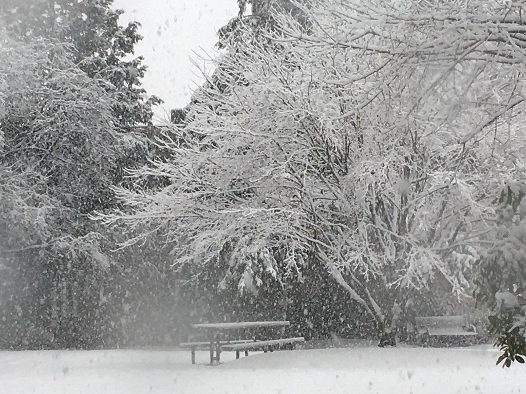 AnnamariaWenner's tweet photo. #scenesfromadeanswindow Now, if only someone built me my own personal snow person right outside of my office window. https://t.co/m7MQPiQETs