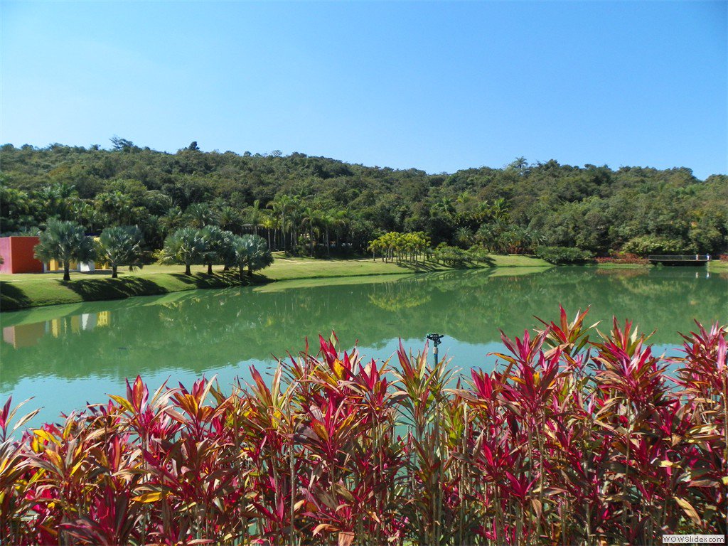 FaenaAleph's tweet photo. Inhotim, a botanical paradise full of the most wonderful sculptures. https://t.co/YeH0HPPKXF #Inspiration https://t.co/AMLsx40PW1
