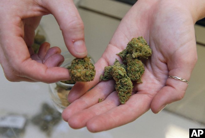 California’s largest doctors group backs recreational marijuana plan: dpo.st/1SWkOFC @cmaphysicians